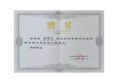 內資公司注冊與分公司注冊服務指南